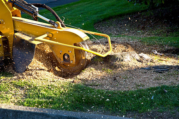 Lawn Drainage Solutions in Glens Falls North, NY